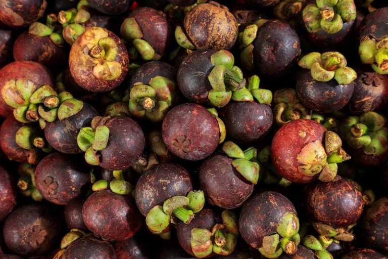 Stack of ripe tropical fruits with thick purple skin and green stems
