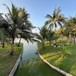 Palm trees surrounding a small waterway with people relaxing on the grass in a peaceful urban park