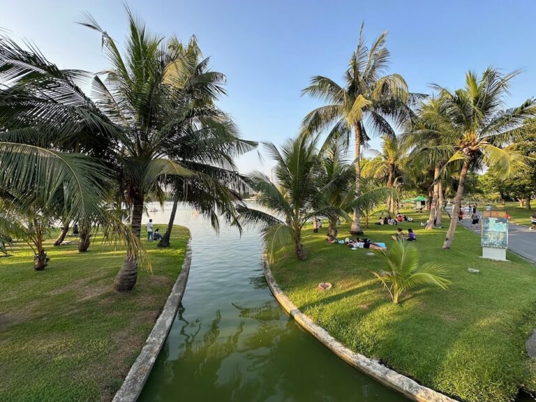 Palm trees surrounding a small waterway with people relaxing on the grass in a peaceful urban park