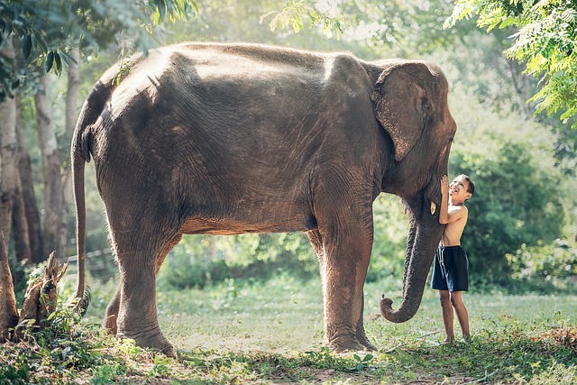 A young Thai boy gently hugging an elephant — a touching example of human connection with elephants in Thailand.