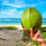 Hand holding a fresh green coconut on a tropical beach in Thailand