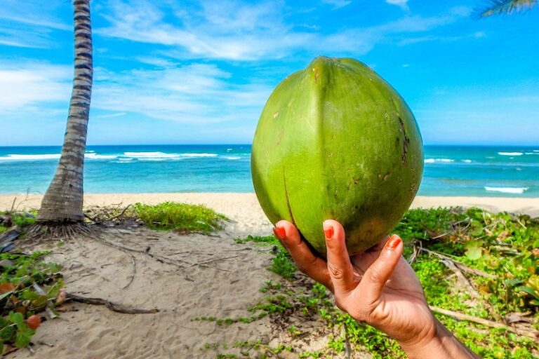 Hand holding a fresh green coconut on a tropical beach in Thailand