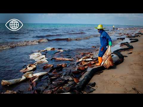 Thaïlande : alertes écologiques, un peuple se lève pour sauver la nature -Documentaire AMP