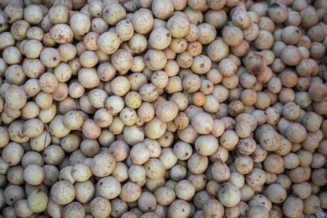 Gros plan sur une pile de fruits langsat frais au marché, à la peau beige tachetée.