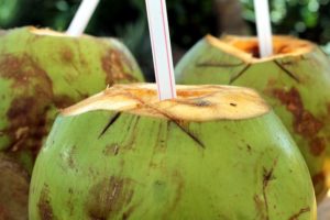 Noix de coco fraîches avec pailles pour boire, prêtes à être consommées.