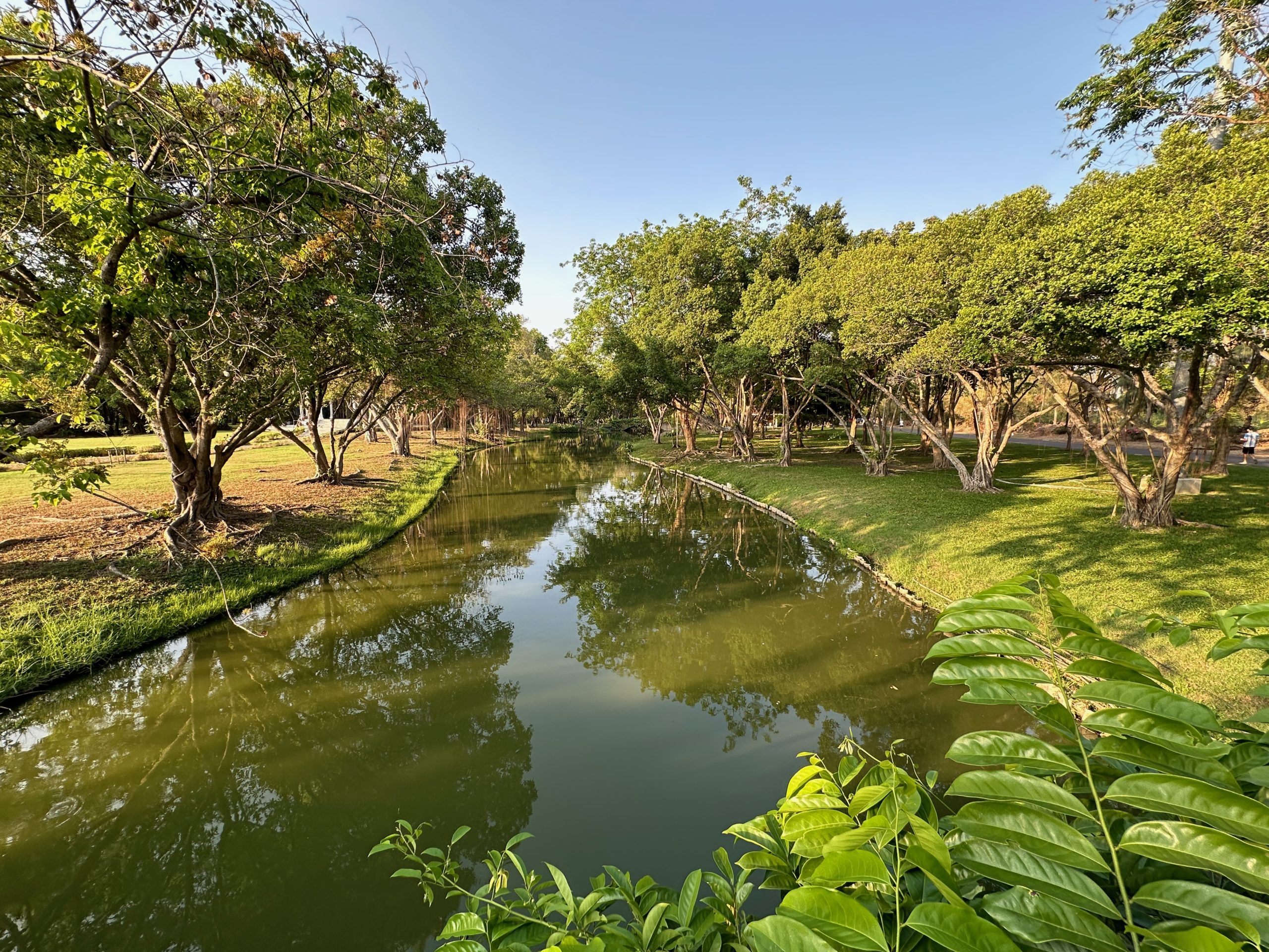 Canal bordé d'arbres verdoyants au Parc Suan Luang Rama IX à Bangkok