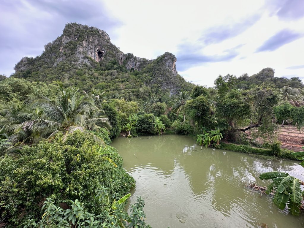 Colline verdoyante avec grotte à Hua Hin d'où les chauves-souris s'envolent