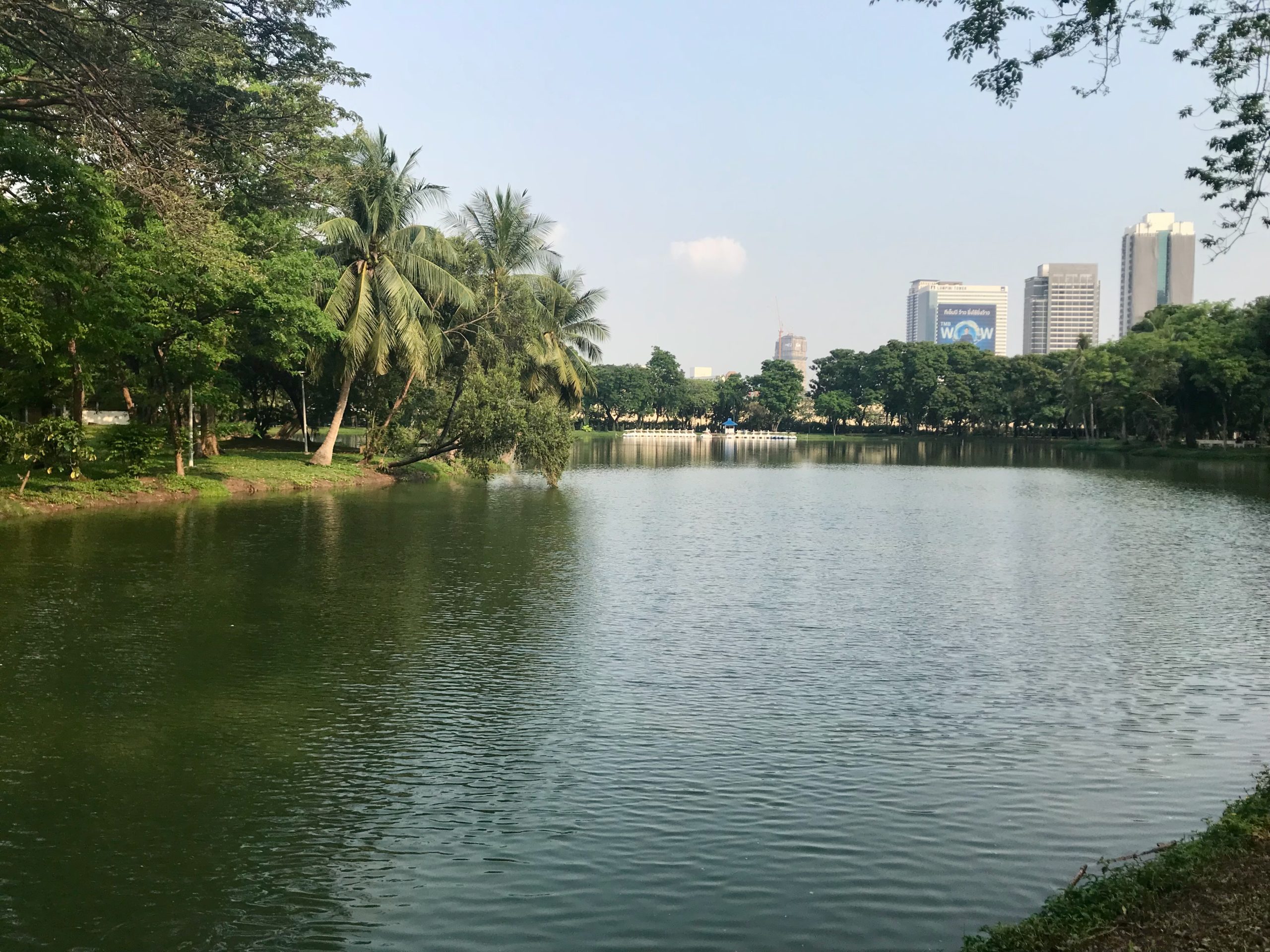 Vue paisible sur le lac du parc Lumpini de Bangkok, encadré par des palmiers et l'horizon urbain.