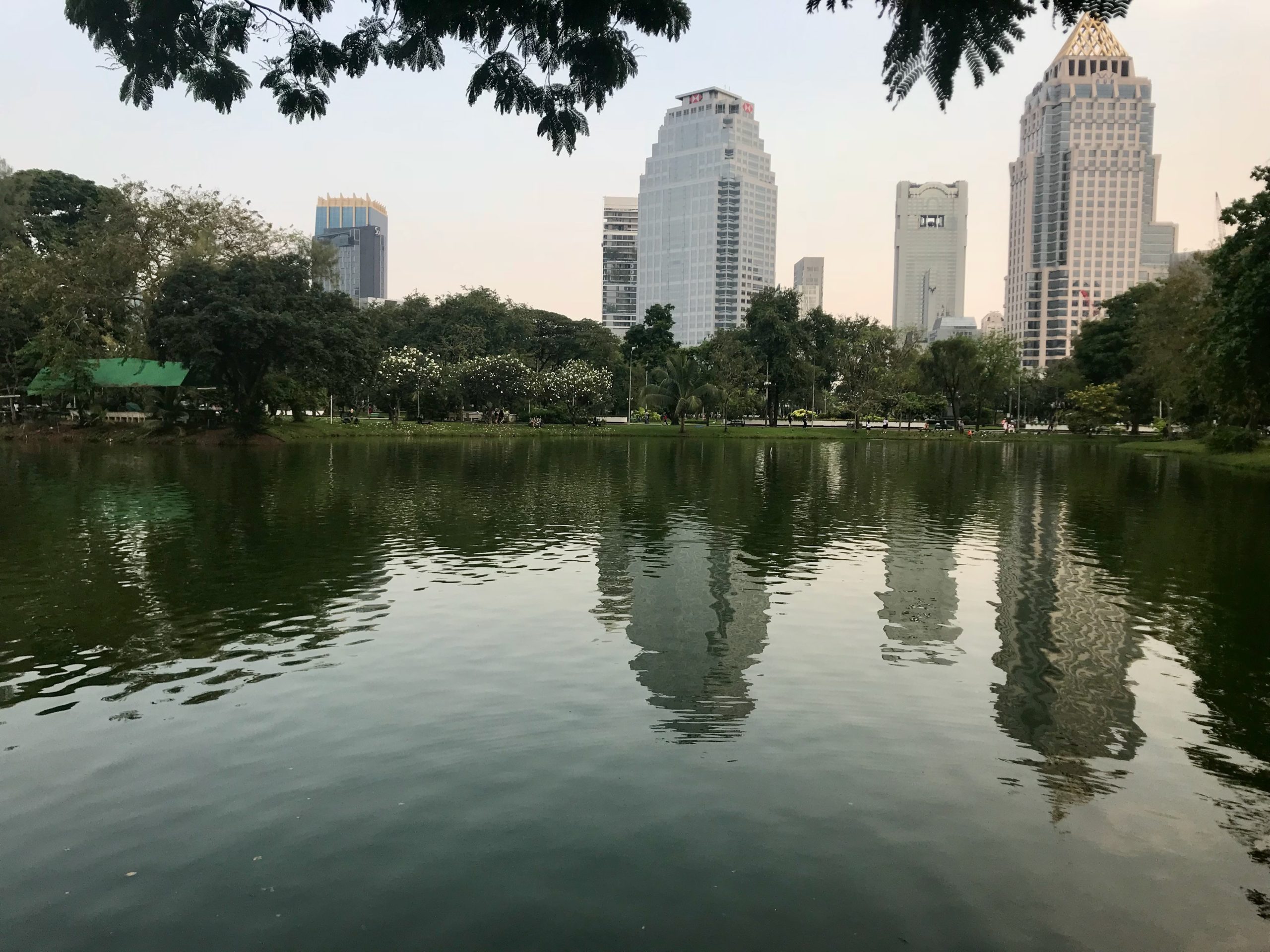 Reflets des gratte-ciel de Bangkok dans l'eau calme du lac du parc Lumpini en fin de journée.