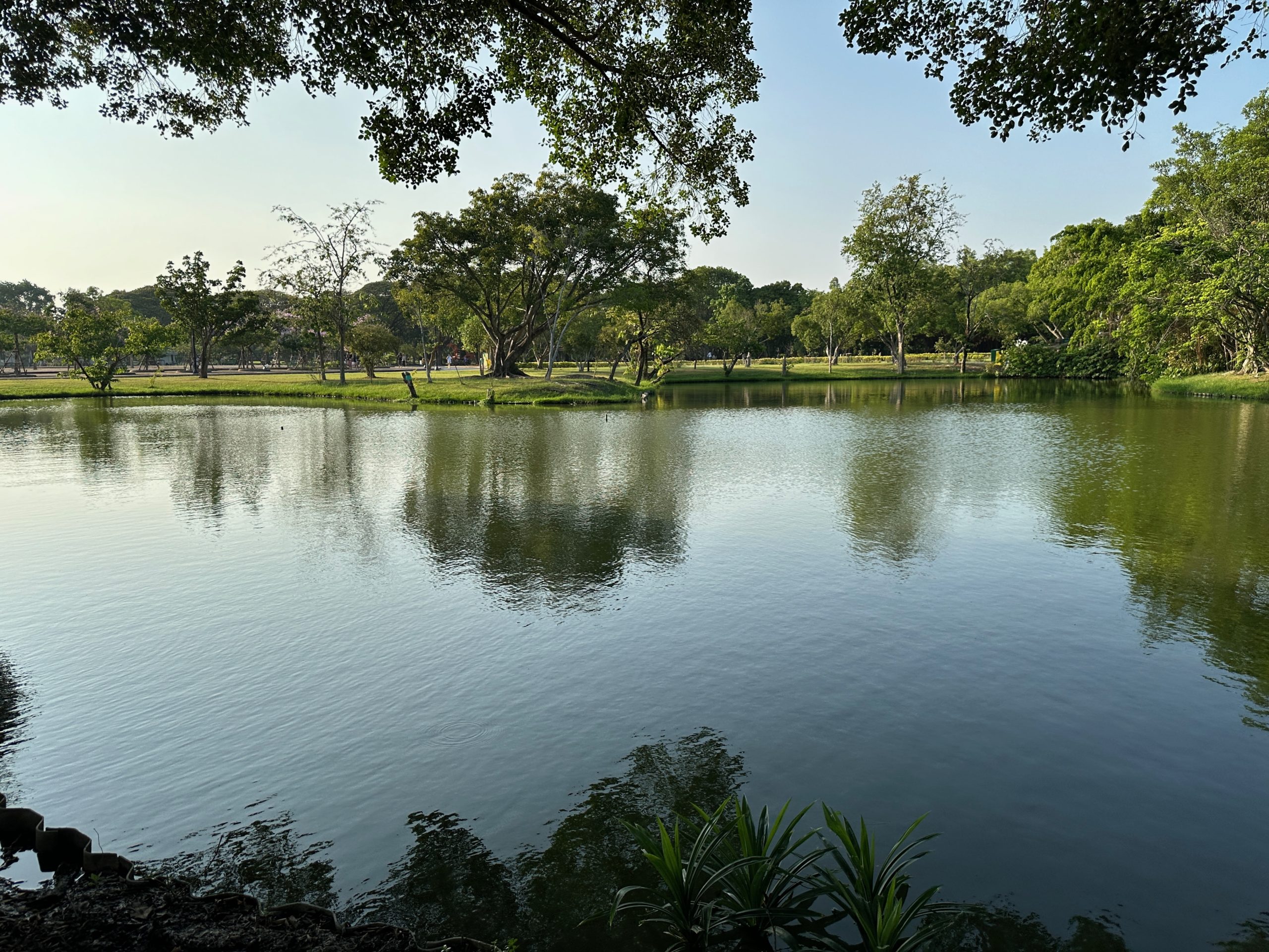 Vue apaisante du lac avec des reflets au parc Suan Luang Rama IX, Bangkok