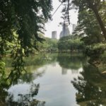 Vue sereine du lac du parc Lumpini avec des arbres verdoyants et des reflets sur l'eau, des gratte-ciel en arrière-plan sous un ciel clair.