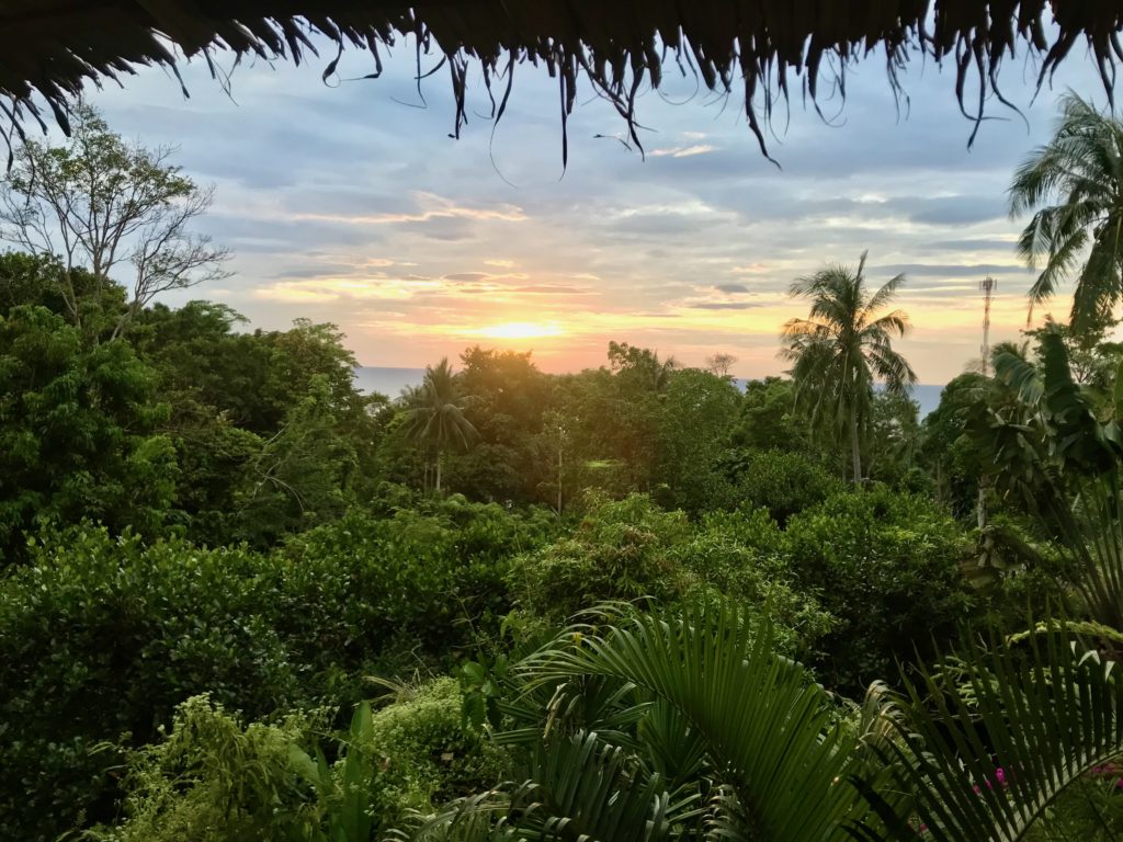 Coucher de soleil tropical vu à travers la végétation luxuriante de l'île de Koh Chang.