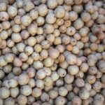 Langsats frais en vente sur un marché thaïlandais