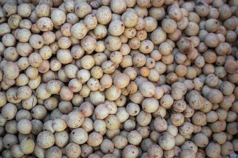 Langsats frais en vente sur un marché thaïlandais