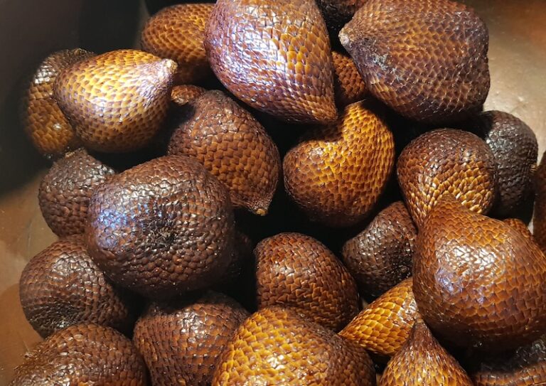 Vue rapprochée de plusieurs fruits du serpent (salak) à la peau écailleuse