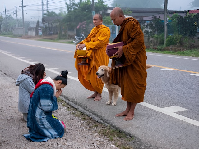 Habitants thaïlandais effectuant un wai très respectueux lors de l’aumône du matin aux moines bouddhistes, scène de vie quotidienne en Thaïlande.