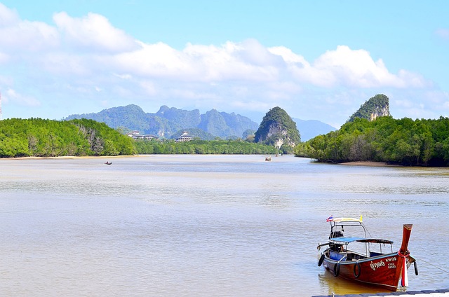 Long-tail boat sur la rivière entourée de mangroves et formations karstiques à Krabi, Thaïlande