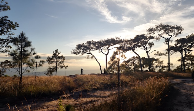 Paysage de Phu Kradueng au coucher de soleil, célèbre parc national du nord-est de la Thaïlande