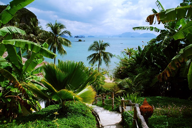 Chemin descendant vers une plage de sable bordée de palmiers et mer turquoise en Thaïlande