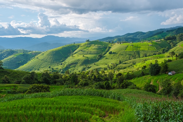 Paysage de montagnes et de rizières autour de Chiang Mai, Thaïlande