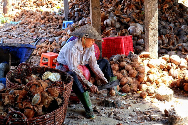 Travailleuse en Thaïlande transformant manuellement des noix de coco dans une exploitation locale