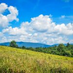 Vaste prairie verdoyante sous un ciel bleu avec des nuages et des montagnes en arrière-plan dans le parc national de Khao Yai.