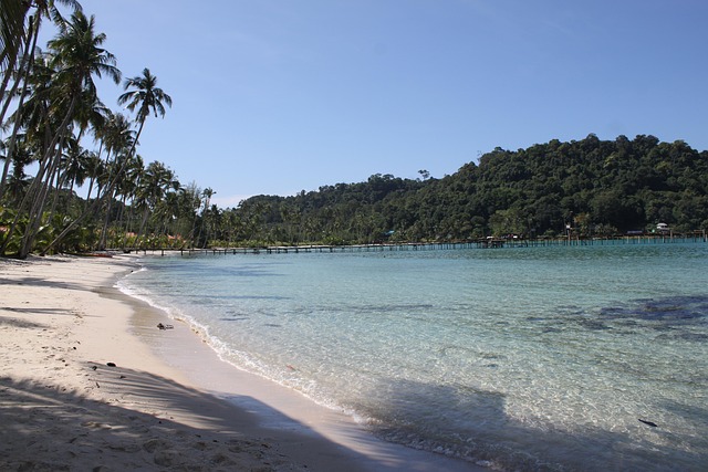 Plage de sable blanc et eau turquoise sur une île du golfe de Thaïlande, avec une rangée de palmiers et un long ponton en bois en arrière-plan.