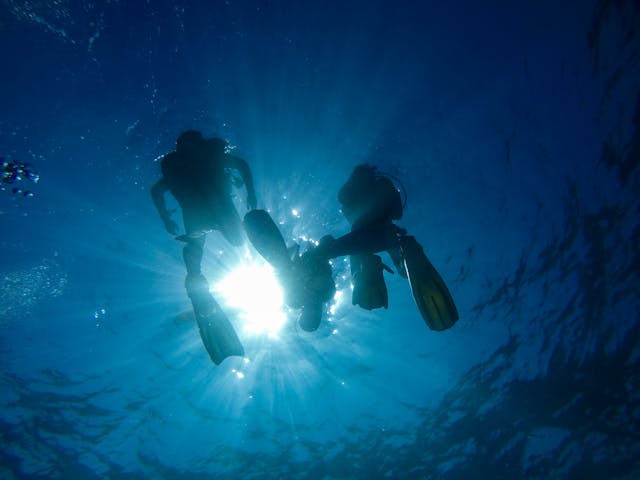 Vue en contre-plongée de la silhouette de plusieurs plongeurs sous l'eau à Koh Tao, avec les rayons du soleil qui filtrent à travers la surface de l'océan bleu.