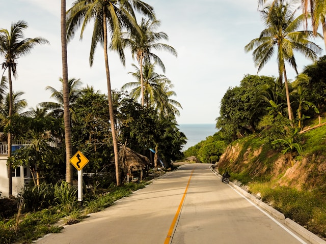 Route en béton sinueuse bordée de palmiers qui descend vers la mer à Koh Tao, avec un panneau de virage et un scooter garé, illustrant l'exploration de l'île.