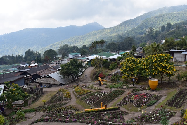 Vue sur un village niché au cœur des montagnes verdoyantes du nord de la Thaïlande, avec des parcelles de jardins colorés au premier plan.