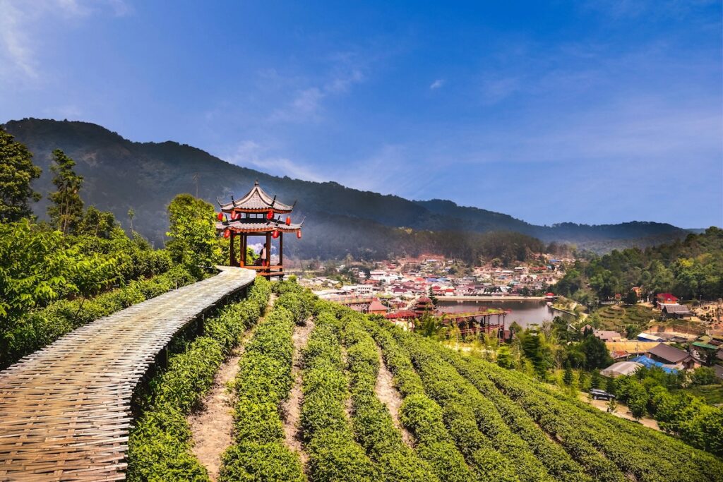 Vue panoramique sur les plantations de thé et le village de Ban Rak Thai, un exemple d'écotourisme dans le nord de la Thaïlande.