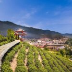 Vue panoramique sur les plantations de thé et le village de Ban Rak Thai, un exemple d'écotourisme dans le nord de la Thaïlande.