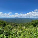 Panorama des montagnes verdoyantes de Nan en Thaïlande depuis un point de vue, avec une végétation luxuriante au premier plan sous un ciel bleu nuageux.