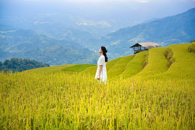 Jeune femme en robe blanche se tenant au milieu de rizières en terrasses verdoyantes, avec des montagnes en arrière-plan, symbolisant la sérénité et la beauté de l'Asie du Sud-Est.