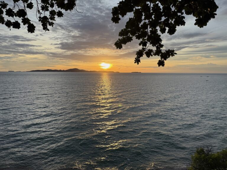 Vue panoramique d'un coucher de soleil sur la mer à Pattaya, avec les feuilles d'un arbre au premier plan et l'île de Koh Larn au loin.