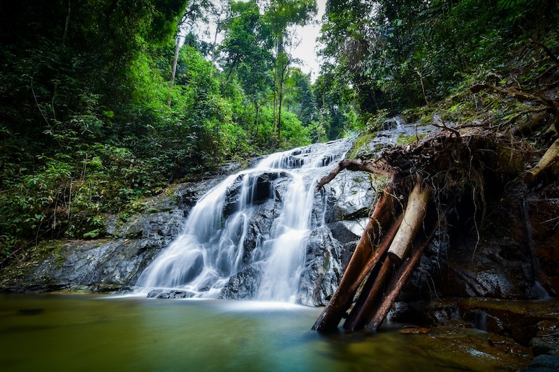 Cascade de Sai Rung à Khao Lak entourée de forêt tropicale avec bassin naturel