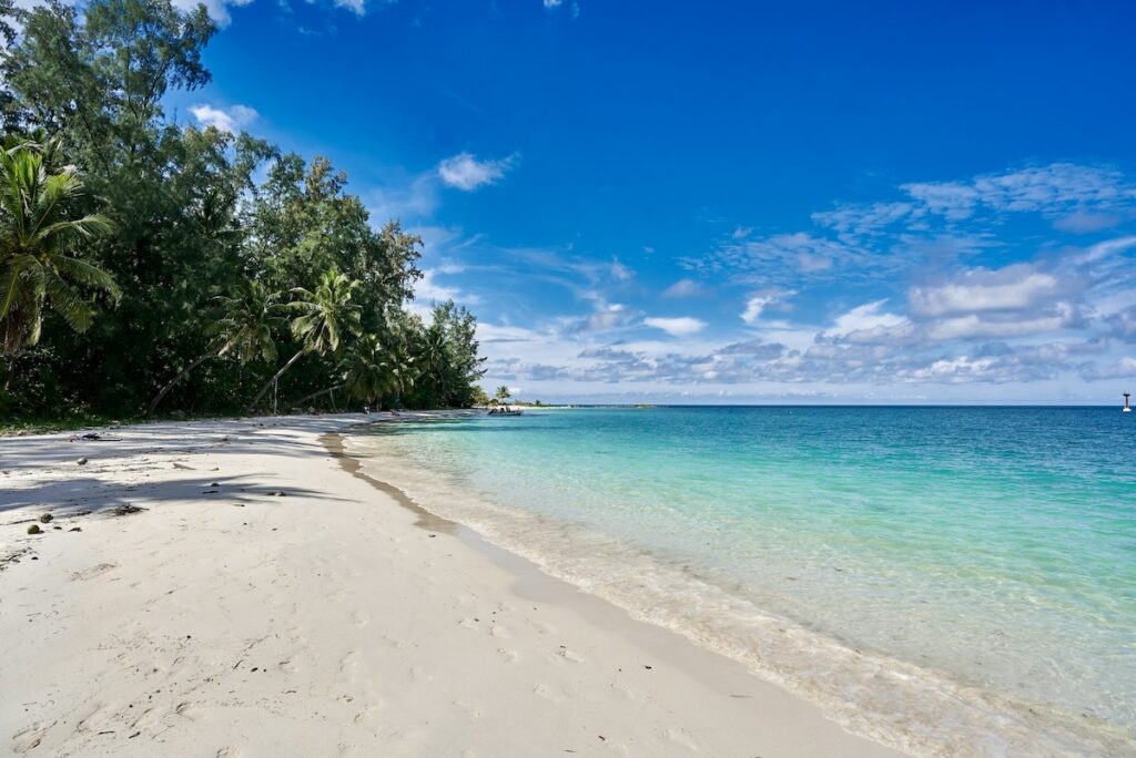Plage de sable blanc bordée de palmiers et eau turquoise à Koh Phangan, en Thaïlande