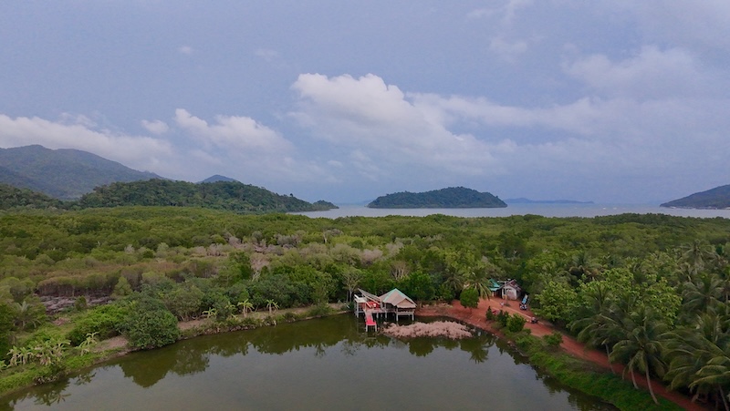 Vue aérienne de la mangrove de Koh Chang avec la jungle et les îlots au loin