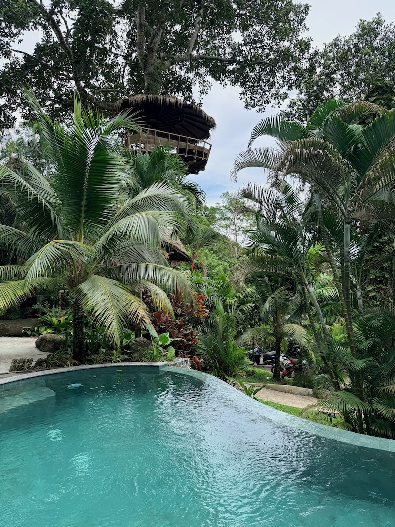 Piscine entourée de végétation tropicale à Oasis Koh Chang