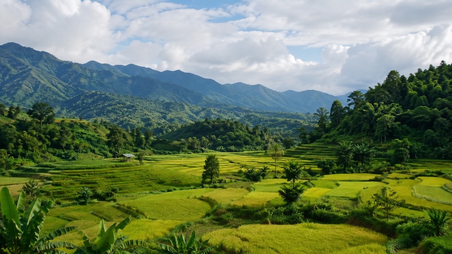 Rizières verdoyantes et montagnes dans le nord de la Thaïlande en octobre